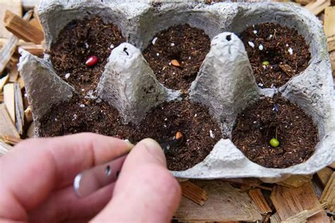 30 Cute DIY Mini Indoor Greenhouse Design Ideas & Tutorials - Matchness.com