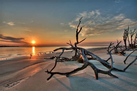 photos of driftwood | Driftwood Beach Photograph Beautiful World ...