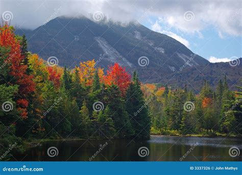 Fall Colors and Mountain stock photo. Image of foliage - 3337326