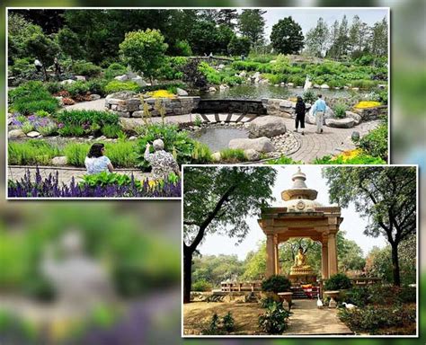 Famous Delhi Parks And Gardens | HerZindagi