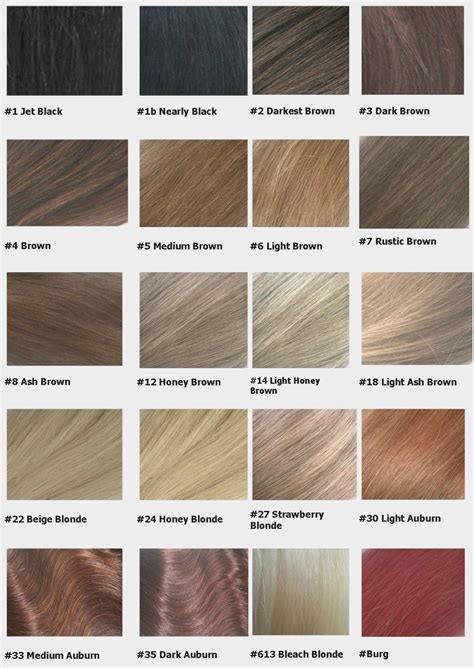 Clairol Hair Color Chart