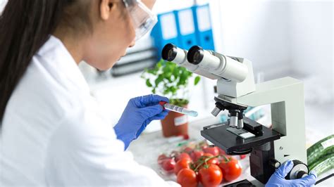 Top Universities With Food Science Degree - INFOLEARNERS