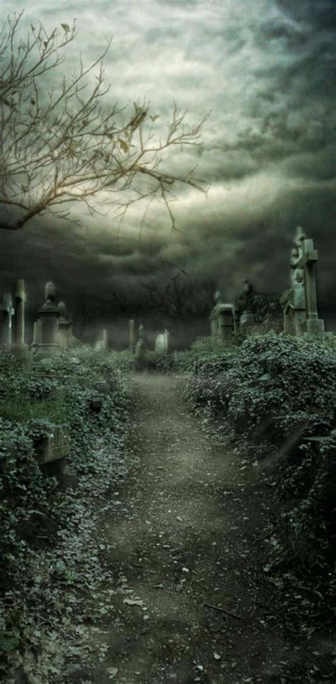 Download Explore the mysteries of the spooky night in this Halloween ...