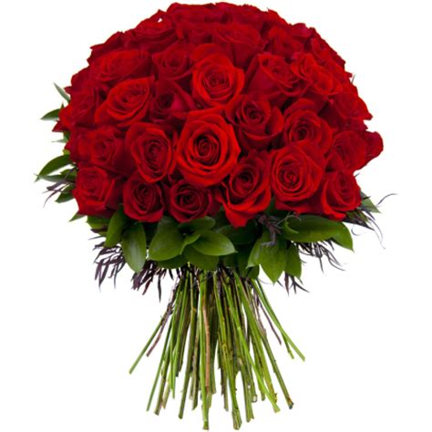 50 Red Roses Bouquet – Ward Express | ورد اكسبرس