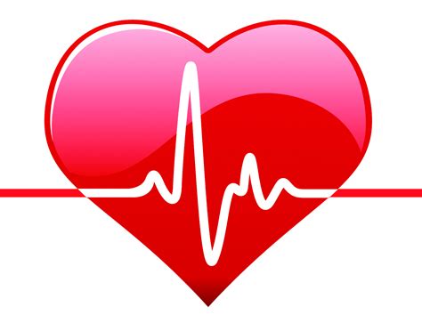 Ekg Realistic Heart Png Free Stock Ekg Clipart Free Transparent Png ...