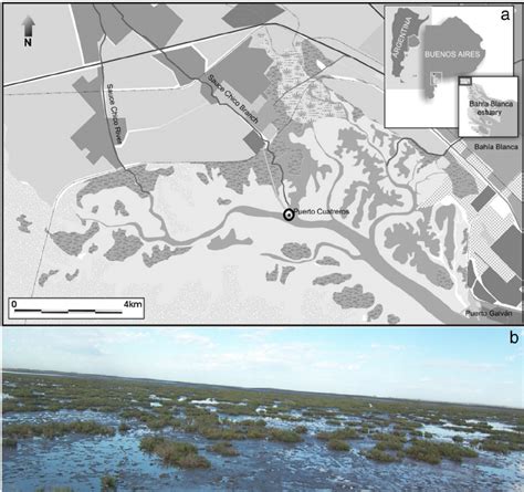 a) Location of the study area and b) View of the studied salt marsh ...