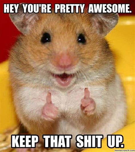 40 Memes About Being Awesome That Will Make Your Day - SayingImages.com