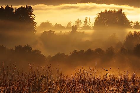 Wallpaper : sunlight, forest, sunset, nature, grass, field, sunrise ...