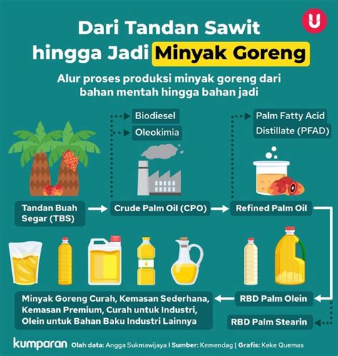 Infografik: Alur Proses Sawit Jadi Minyak Goreng | kumparan.com