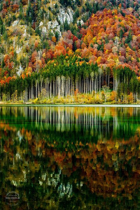 Beautiful Nature Scenery Fall