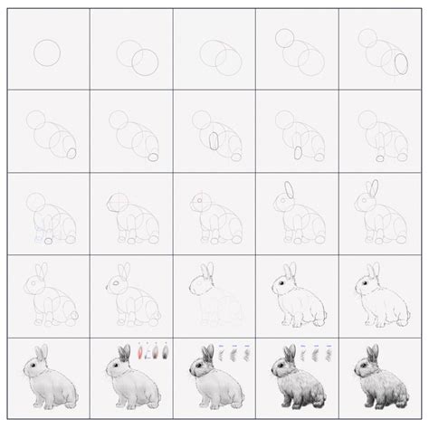 How To Draw A Realistic Rabbit Step By Step