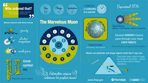 New Measurements of Muon’s Magnetic Moment Strengthen Evidence of New ...