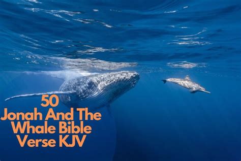 50 Amazing Jonah And The Whale Bible Verse