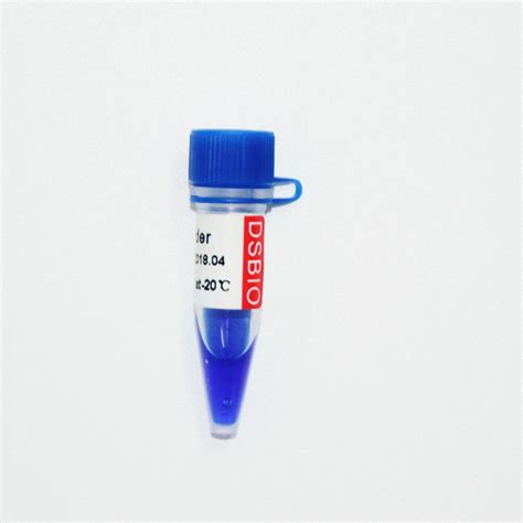 10bp DNA Ladder Gel Electrophoresis High Purity Reagents