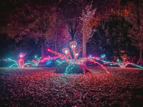 Magical Dunham Massey Christmas Lights Trail Review (2025)!