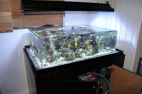 Most Beautiful Saltwater Fish Tanks ( All Time ) | RateMyFishTank.com