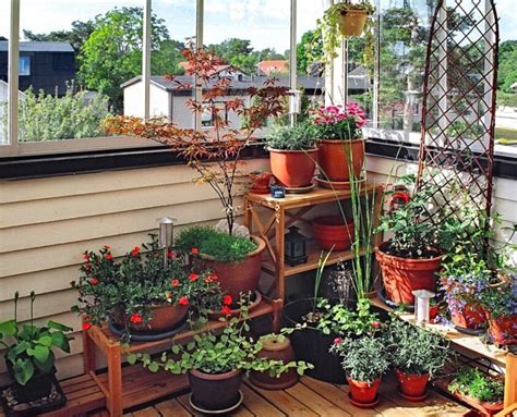 How you can start a balcony garden?