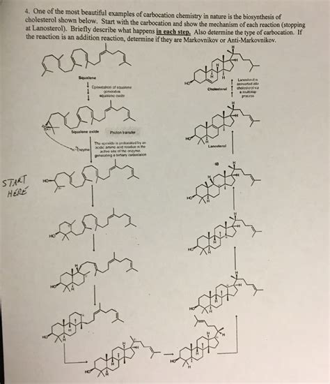 Solved 4. One of the most beautiful examples of carbocation | Chegg.com