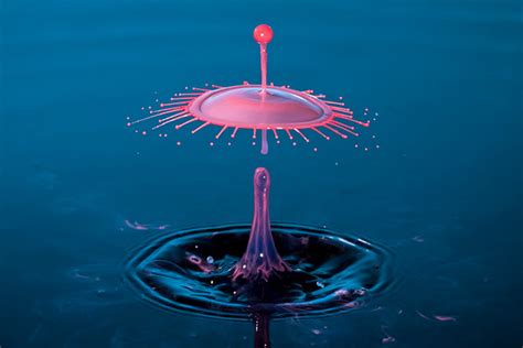 Water Drop Photography - Photography