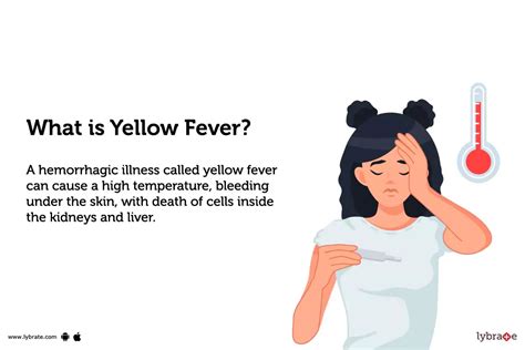 Yellow Fever: Causes, Symptoms, Treatments And More