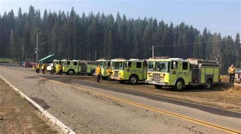 Aug. 30: UPDATE: Bear Fire on the prowl - Plumas News