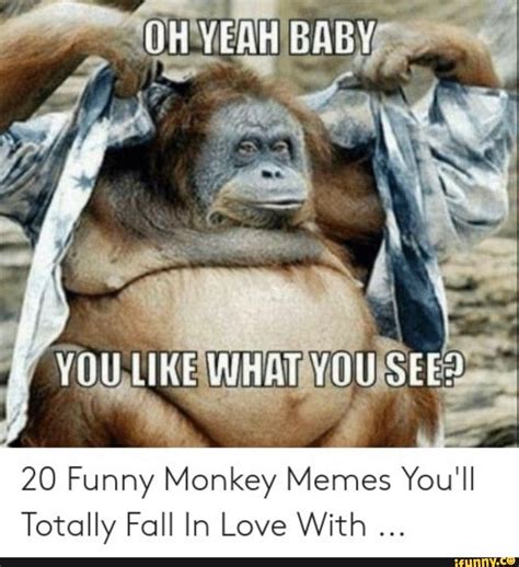 20 Funny Monkey Memes You'll Totally Fall In Love With - iFunny