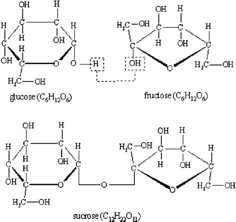 Structural formula of the sucrose (glucose+fructose). | Download ...