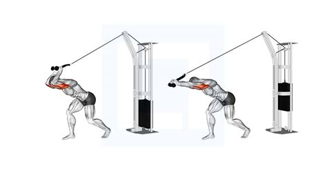 Cable High Pulley Overhead Tricep Extension - Guide, Benefits, and Form