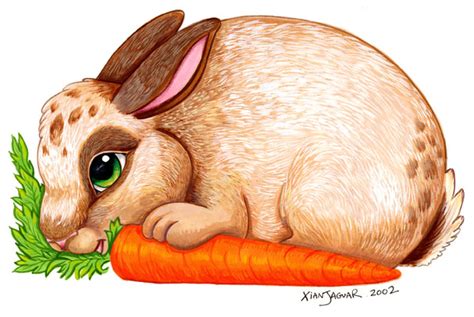 Rabbit Eating Carrot Drawing at GetDrawings | Free download