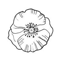 Poppy Flower Outline Drawing - Home Alqu