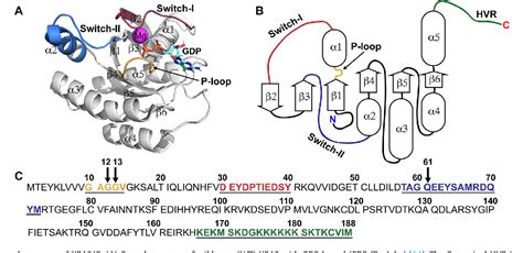 Figure 1 from The current understanding of KRAS protein structure and ...