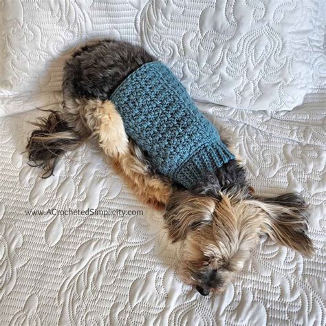 Chewy's Crochet Dog Sweater - Free Crochet Pattern for Pets - A ...