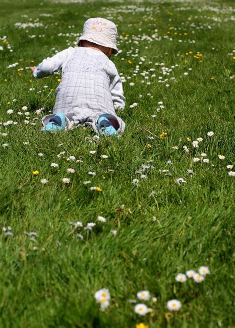 Baby boy shopping on-line stock image. Image of laptop - 10345503