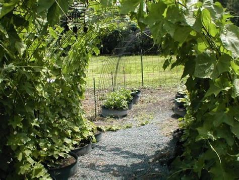 18 Creative Ways To Use Cattle Pen Panels - Homestead & Survival