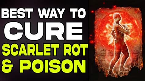 CURE Scarlet Rot & Poison Best Method in Elen Ring | EASY & FAST ...