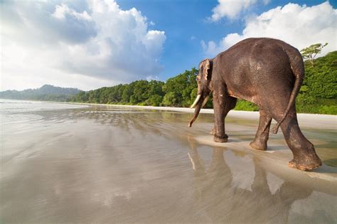 10 TOP Things to Do in Andaman and Nicobar Islands (2020 Attraction ...