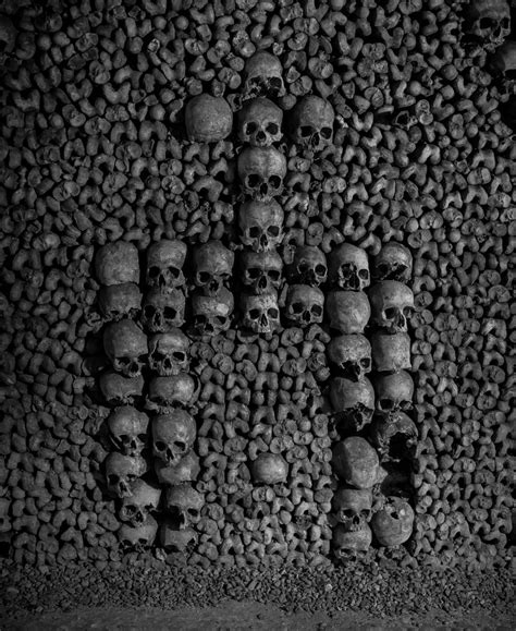 #483. Skulls and bones (Paris Catacombs) - DearSusan