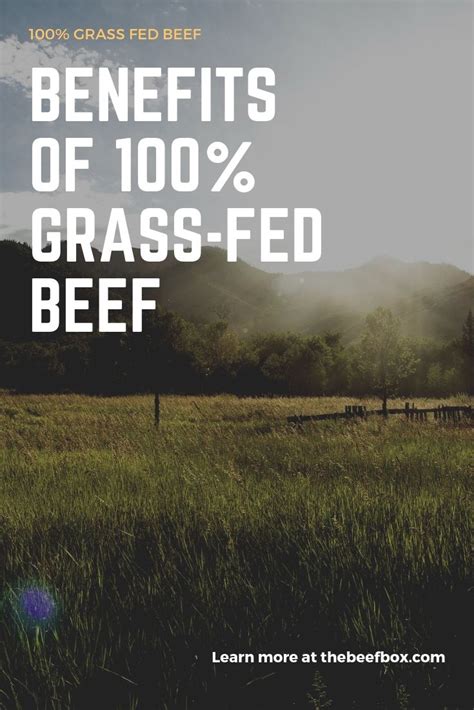 Benefits of Grass-Fed Beef | Grass fed beef benefits, Grass fed beef, Grass