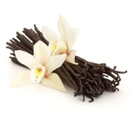 Amazon.com : 50 Organic Madagascar Vanilla Beans. Whole Grade A Vanilla ...