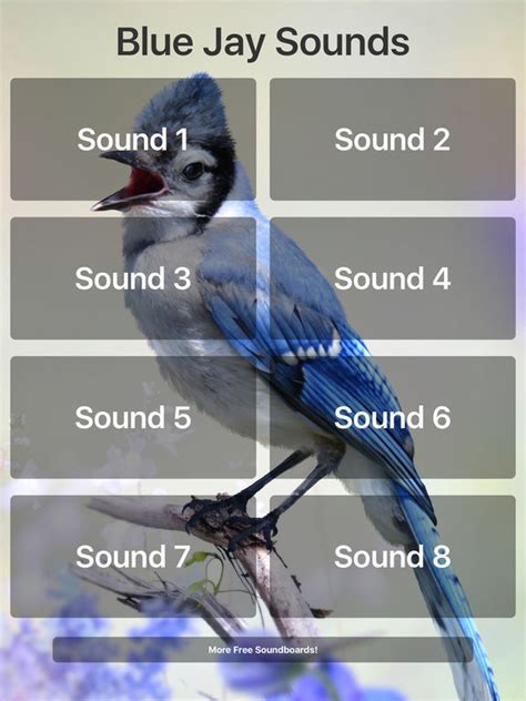 App Shopper: Blue Jay Sounds (Reference)