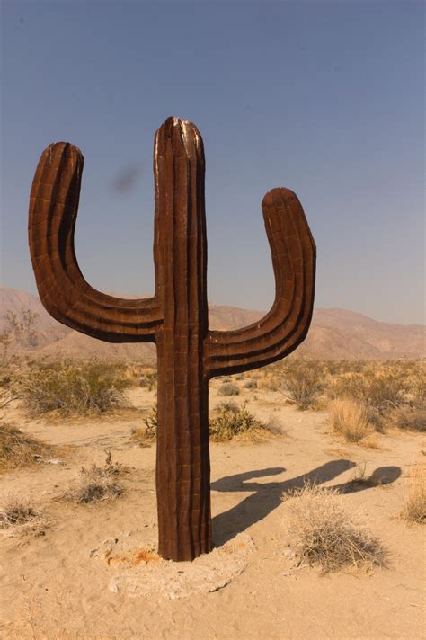 This is my favorite cactus in the California desert : r/pics