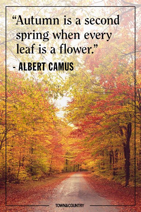 These Autumnal Quotes Will Put You in the Mood for Fall | Autumn quotes ...