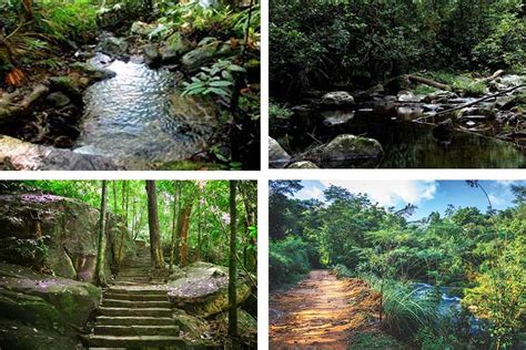 Bodhinagala Forest Reserve | Attractions in Sri lanka