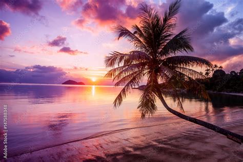 Island Paradise Sunset