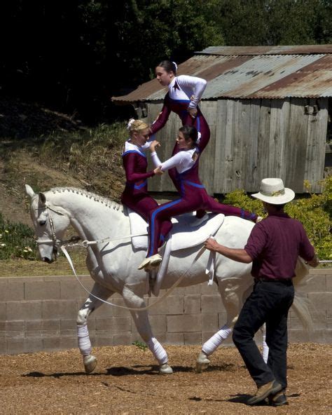 Equestrian Vaulting | equestrian vaulting equipment,equestrian vaulting ...