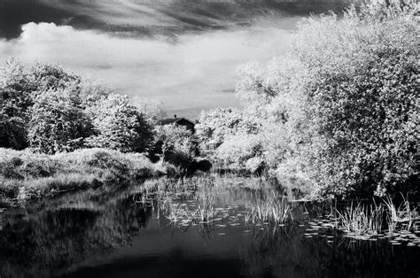 Infrared Film – Film for Infrared Photography | Analogue Wonderland