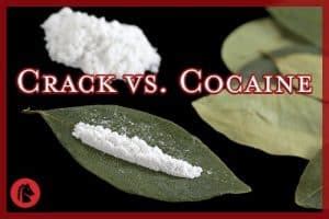 Differences Between Crack and Cocaine (& Myths) - Oxford Treatment