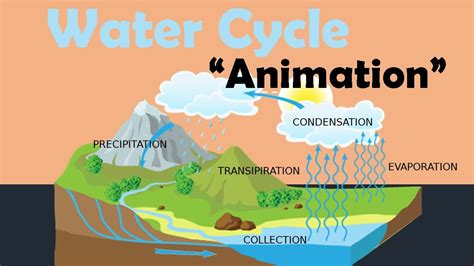 WATER CYCLE | Biology Animation - YouTube