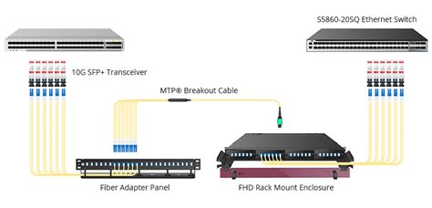 1U Rack Mount 24 Port Cat6 Patch Panel UTP QSFPTEK | lupon.gov.ph