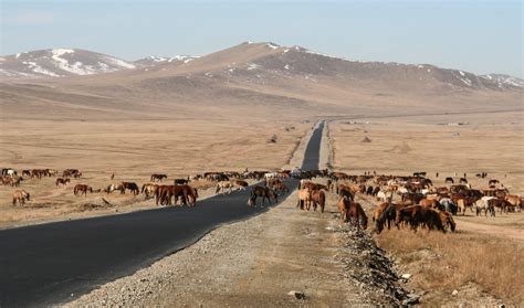 Explore Mongolia, the land of the nomads